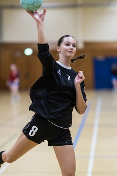 Bild 249 - wAJ TSV Ellerau - HSG Pinnau : Ergebnis: 28:13